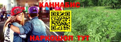стафф Камышлов